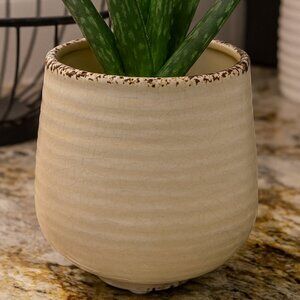 NWT Distressed Crackle Flower Pot Rustic Style Planter